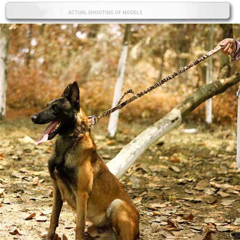 2-Inch Wide Tactical Heavy-Duty Nylon Large Dog Collar for K9 Military Use with Metal Buckle