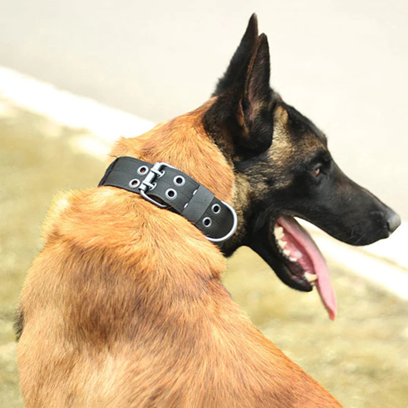 2-Inch Wide Tactical Heavy-Duty Nylon Large Dog Collar for K9 Military Use with Metal Buckle