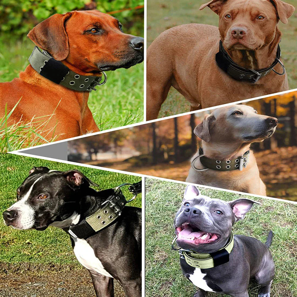 2-Inch Wide Tactical Heavy-Duty Nylon Large Dog Collar for K9 Military Use with Metal Buckle